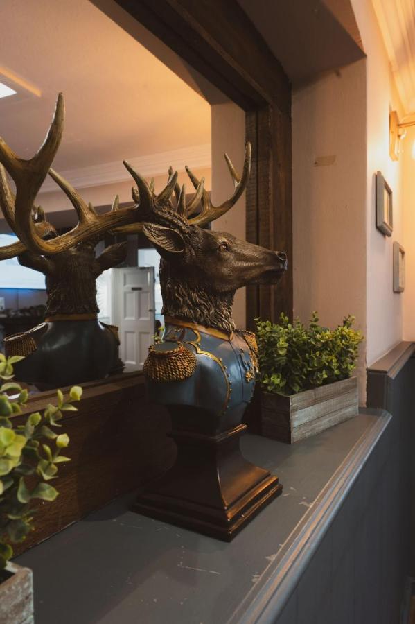 The Stag Hotel And Mailmans Arms Lyndhurst Kültér fotó