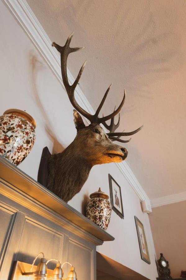 The Stag Hotel And Mailmans Arms Lyndhurst Kültér fotó